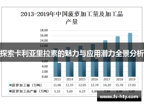 探索卡利亚里拉素的魅力与应用潜力全景分析
