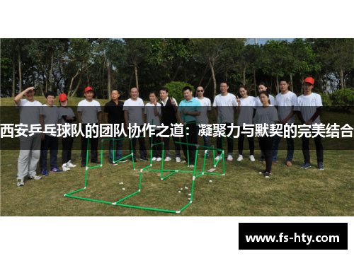 西安乒乓球队的团队协作之道：凝聚力与默契的完美结合